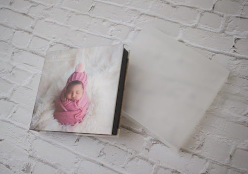 パネルケース in USB1